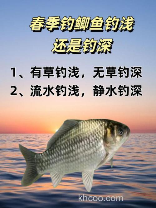 春天钓鲫鱼钓深还是浅，钓近还是远