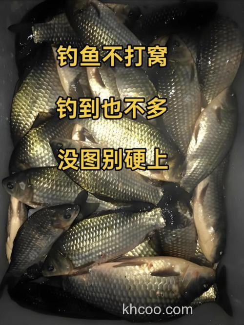 野钓用什么打窝 水深4米，钓鲤鱼