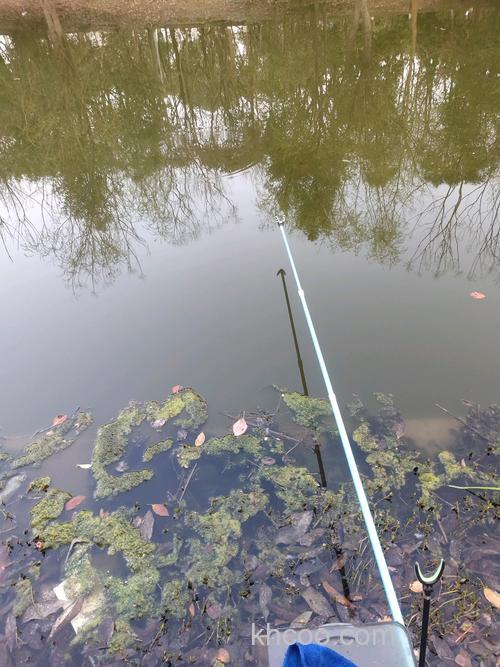 温度突然下降好钓鱼吗？