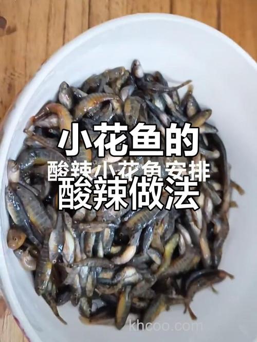 小花鱼用什么饵料？