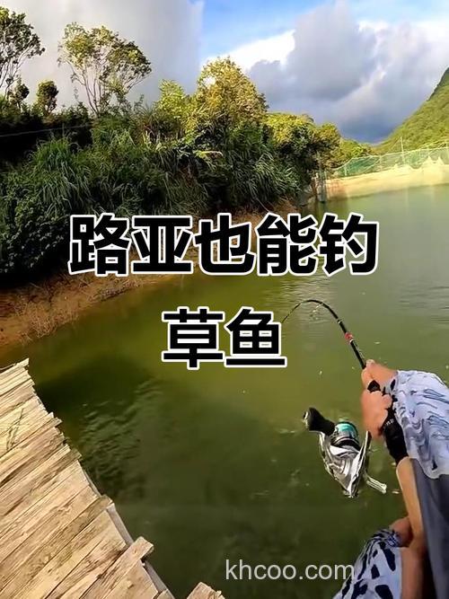 m硬度路亚竿能钓草鱼吗？