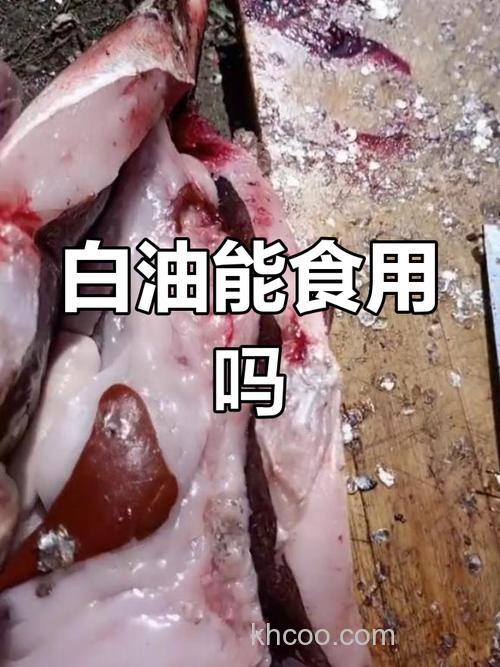 鱼肚子里的白油怎么吃？