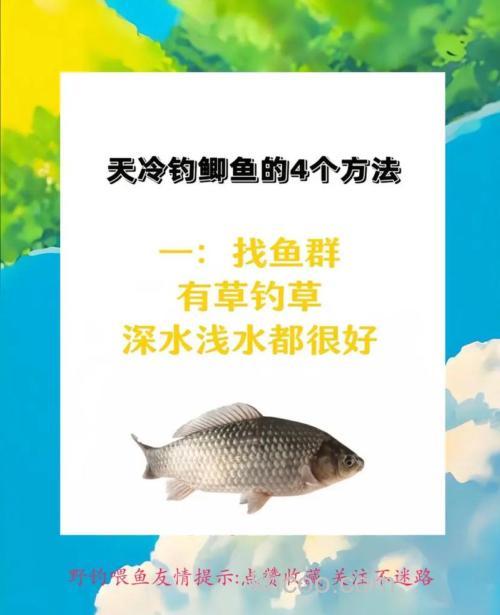 天冷时如何钓鲫鱼