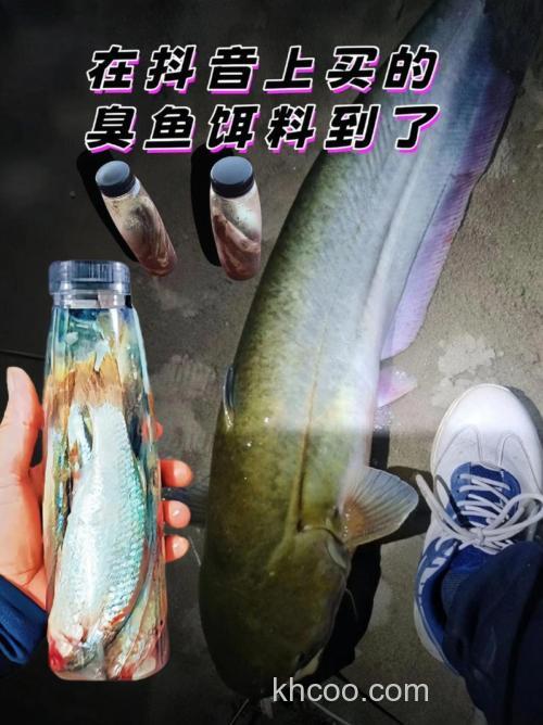 钓鲶鱼用什么商品饵最好？