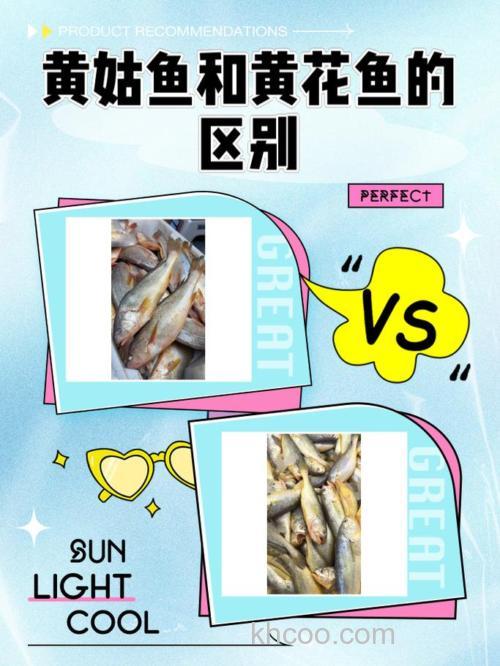 黄花鱼与黄姑鱼大揭秘：差异对比全解析