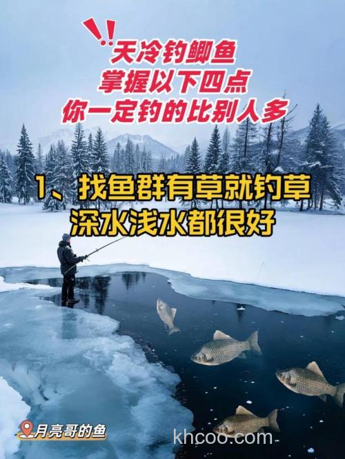 天冷钓鲫鱼抱怨不好钓？怎么办？