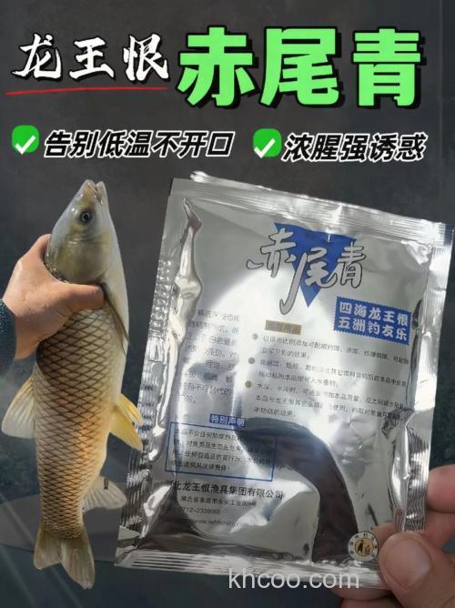 龙王恨赤尾青怎么样开饵？
