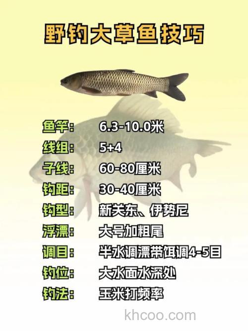 什么温度适合钓草鱼，为什么？