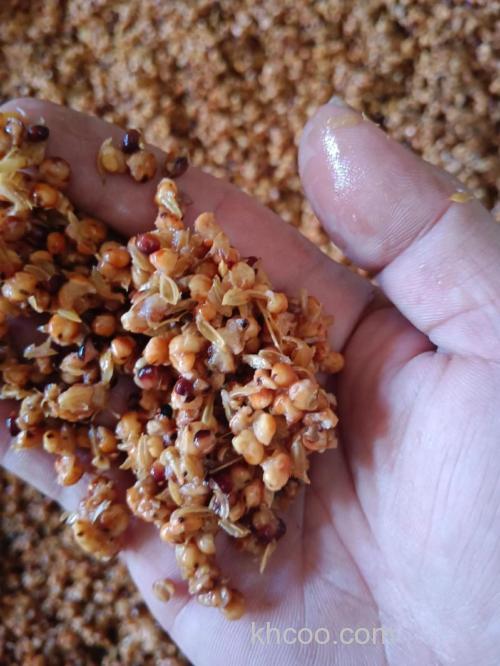 高粱酒泡玉米钓鱼效果好吗？