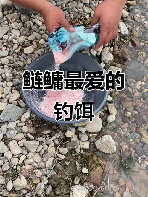 鲢鱼喜欢吃什么饵？