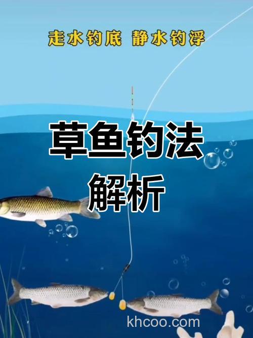 现在钓草鱼，钓底好还是钓半水好？