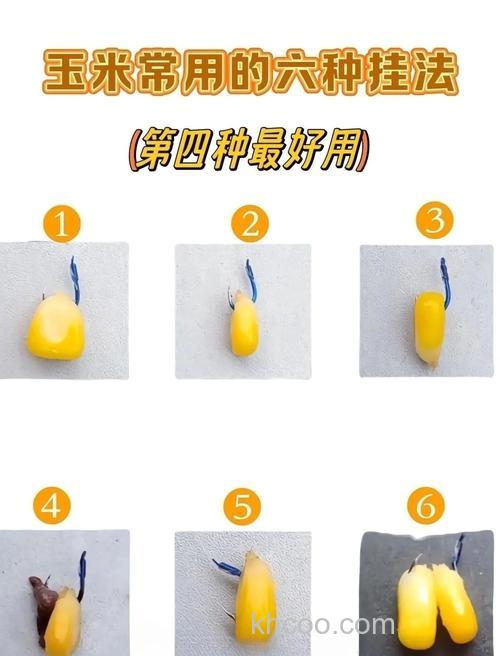 嫩玉米怎样制作钓鱼好