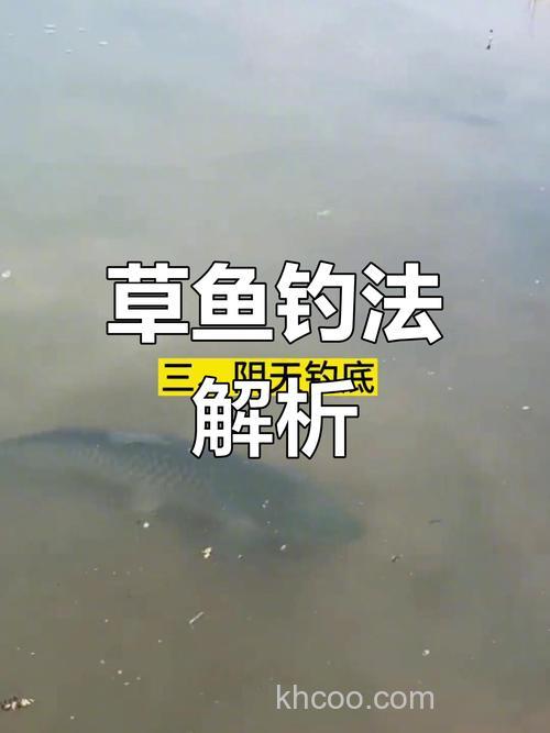 鱼塘钓草鱼钓底还是钓浮,用什么饵料最好