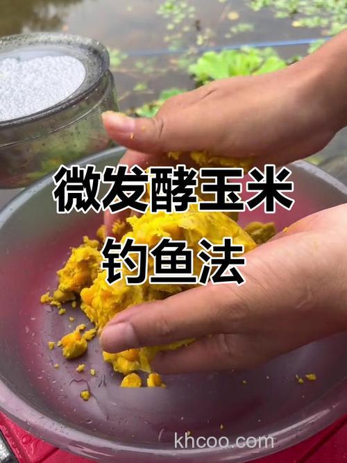 野钓发酵玉米如何打窝