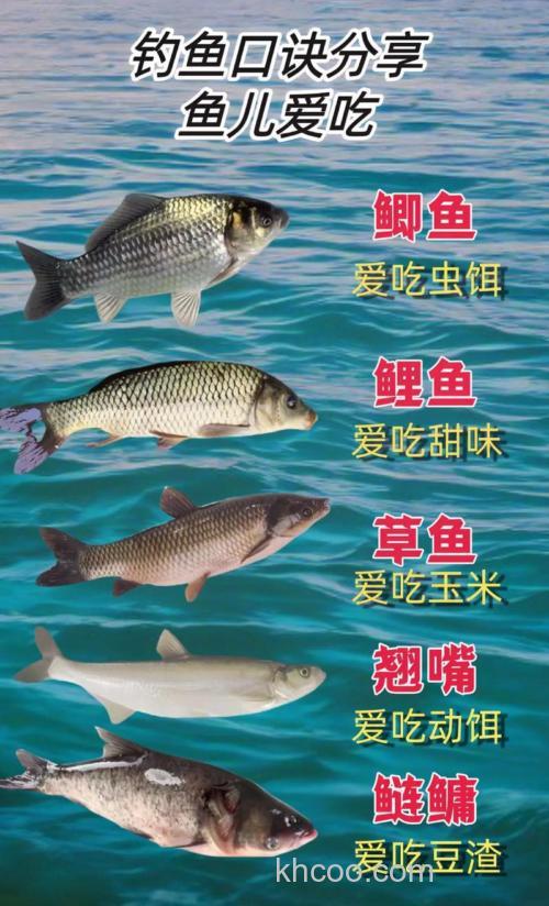 鲫鱼鲤鱼爱吃甜食吗