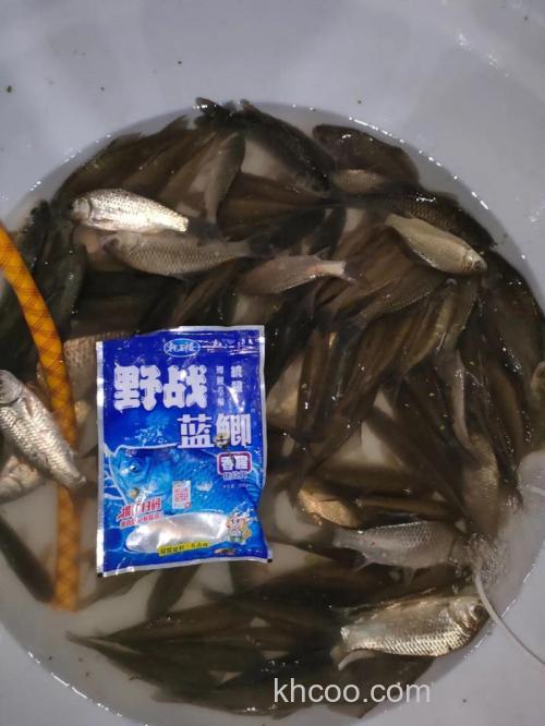 蓝鲫天下单开使用效果怎么样？