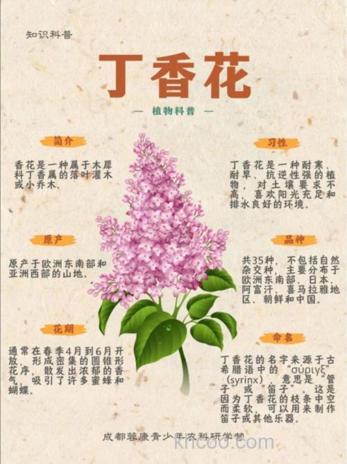 谷麦定香是什么意思？