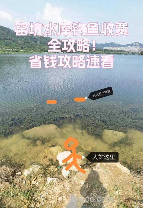 窑坑水库钓鱼收费全解析