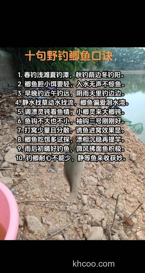 立春后别只盯着鲫鱼！钓鲤鱼秘籍在此，让你连杆爽到爆