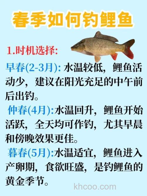 春天钓鲤鱼的好办法