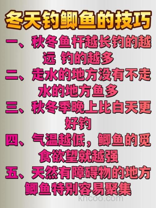 冬季钓鲫鱼，掌握这几点钓鱼技巧爆护没难度！