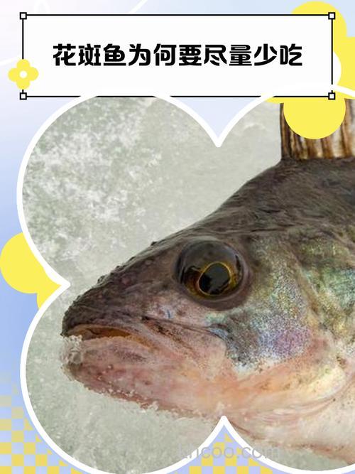 吃了花斑鱼能吃榴莲吗