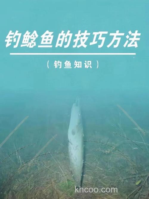 野钓大鲶鱼绝杀方法？