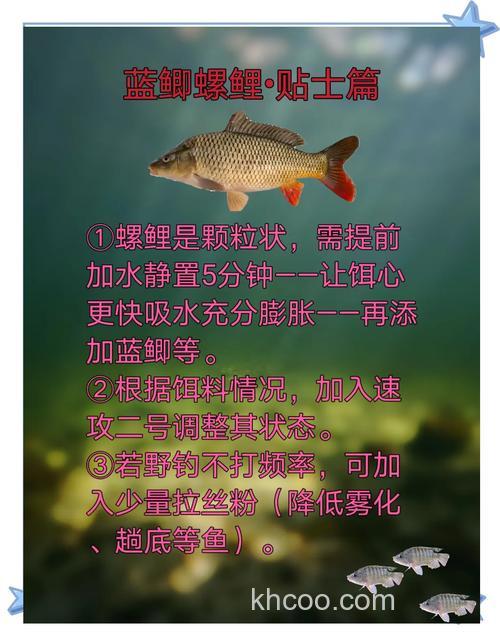 螺鲤2号钓鲫鱼怎么配？