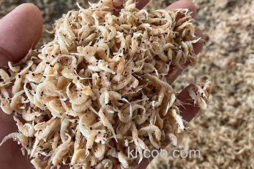 自己用虾皮做鱼饵最简单方法？