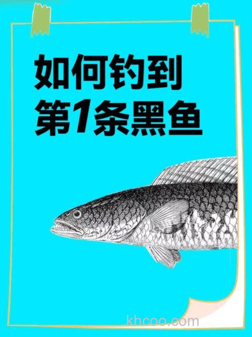 先了解的一些技巧好钓得黑鱼