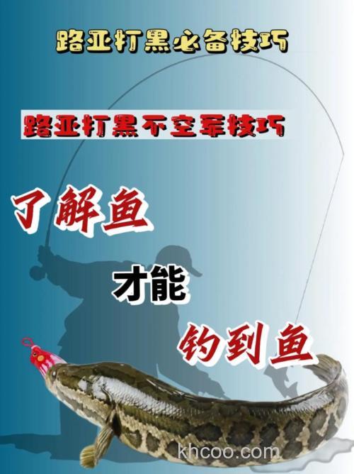新手很轻松就可以学会的钓黑鱼技巧