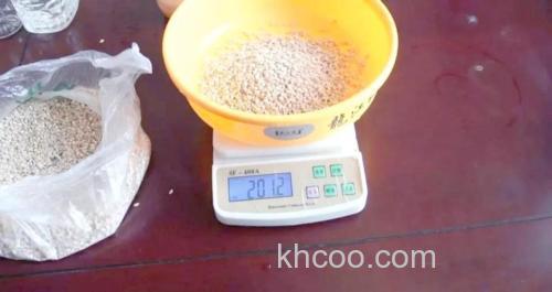 小麦饵料实测效果？