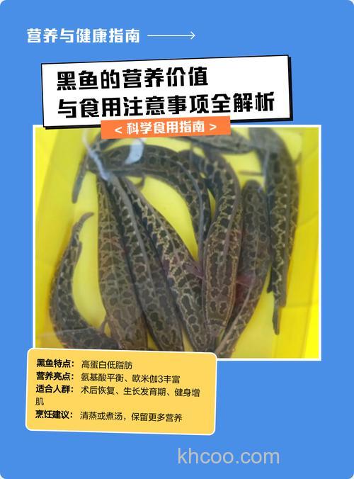 黑鱼为什么不建议吃？黑鱼的营养价值及功效与禁忌