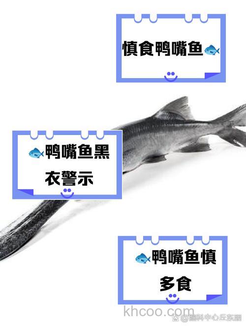 鸭嘴鱼吃小鱼吗？鸭嘴鱼吃什么饵料？