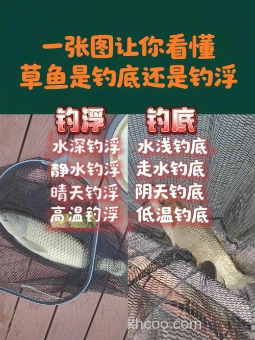 草鱼钓底还是钓浮饵料如何搭配？