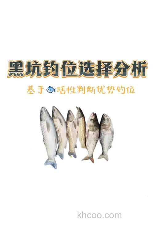 想钓黑鱼怎能没有技巧？钓位选择是关键