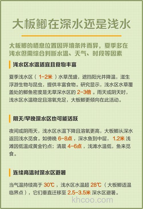 大板鲫在深水还是浅水?
