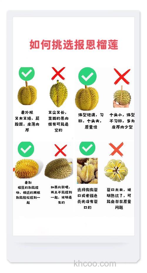 怎样挑选成熟的榴莲?
