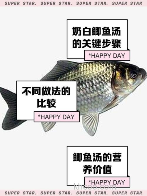 解析白鲫鱼价格：波动背后的因素与行情