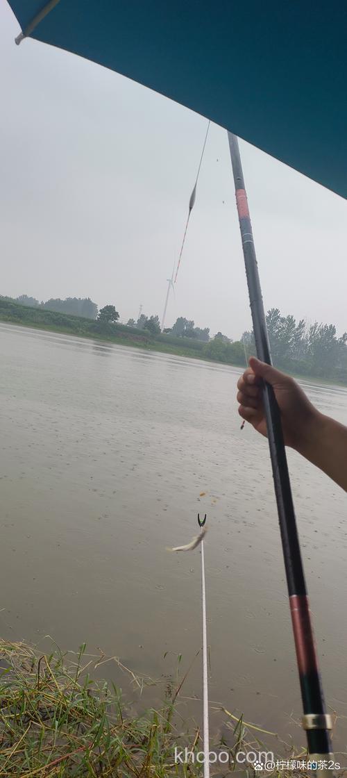 雨中江河钓鳊鱼的一些方法