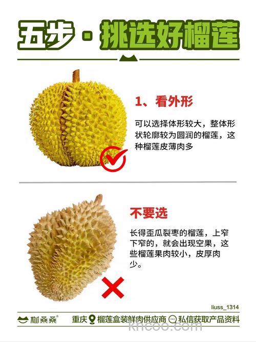 怎么才能选到好的榴莲?