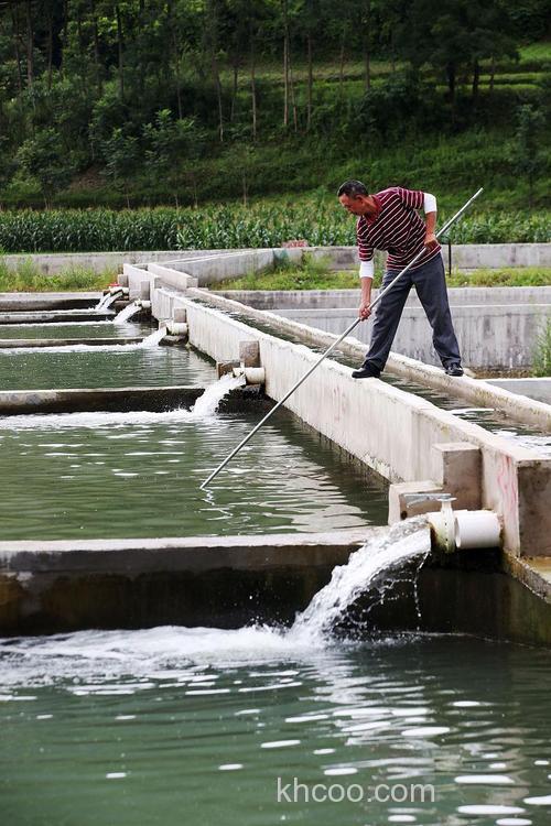 养鱼池塘可以洒什么样的化肥不影响草鱼的生长