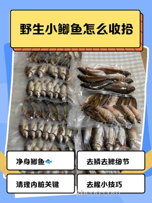 小鲫鱼如何处理干净