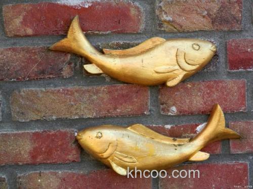 长江金秋鱼学名？