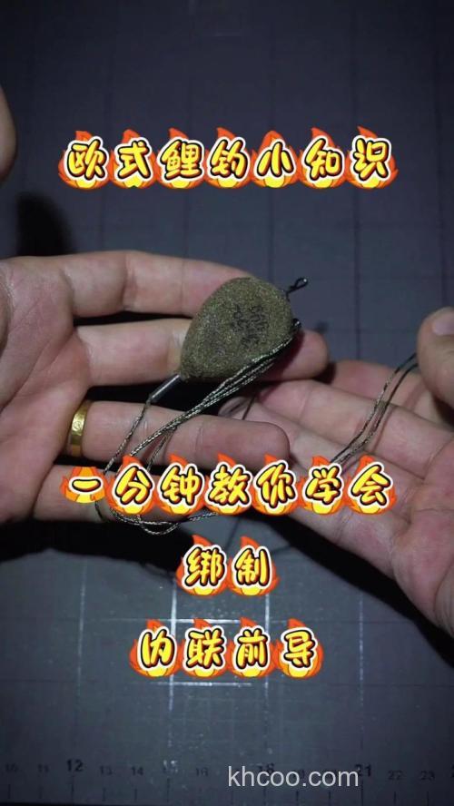 求欧式钓鲤鱼方法？饵料制作？