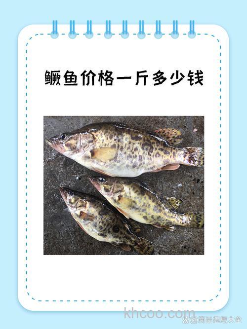鳜鱼是什么鱼？鳜鱼多少钱一斤？