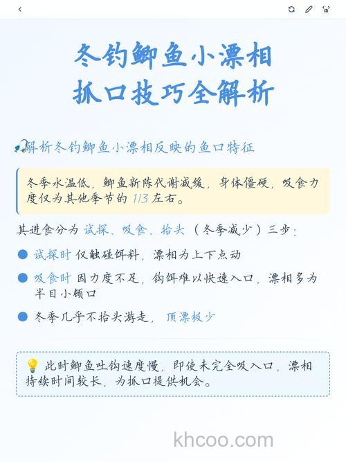 冬钓鲫鱼看漂相小秘诀