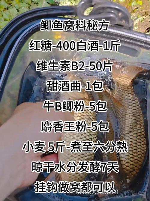 钓河里的鲫鱼,打窝子选什么配方？