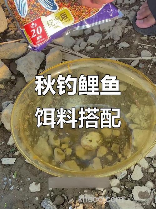 3号螺鲤野钓鲤鱼怎么配