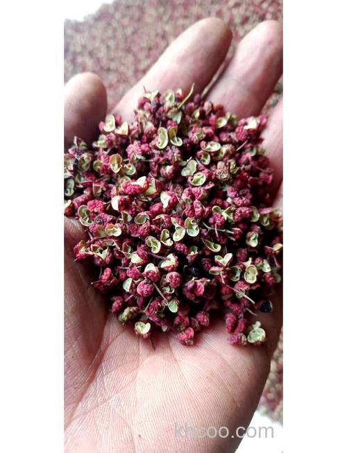 陕西凤县特产？